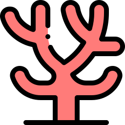 Coral icon