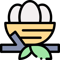 Nest icon