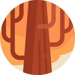 baum icon