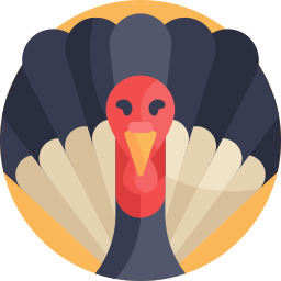 Turkey icon