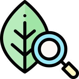 Leaf icon