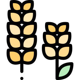 Wheat icon