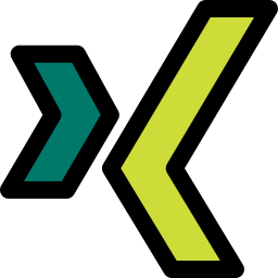 Xing icon