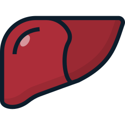 Liver icon