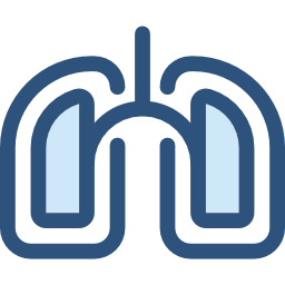 Lungs icon