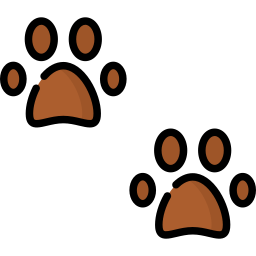 Footprint icon