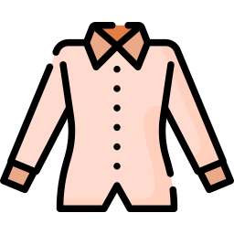 Shirt icon