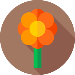 blume icon