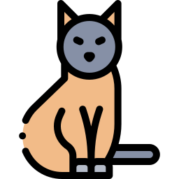 Cat icon