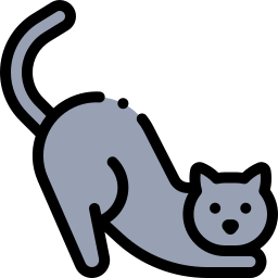 Cat icon