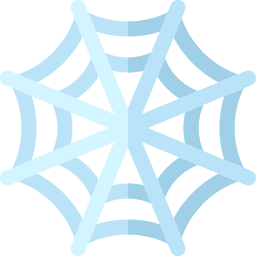 Spider web icon