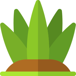 Aloe vera icon