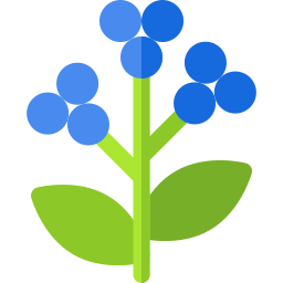 Berries icon