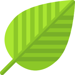 Leaf icon