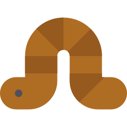 Worm icon