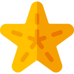 Starfish icon