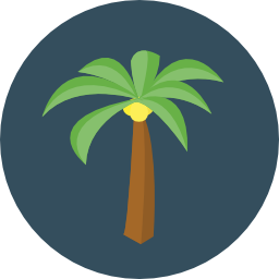 palme icon