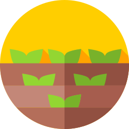 Sprouts icon