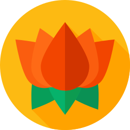 lotus icon