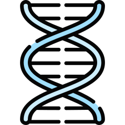 adn Icône