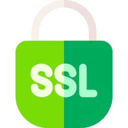 ssl icon