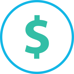 dollar icon