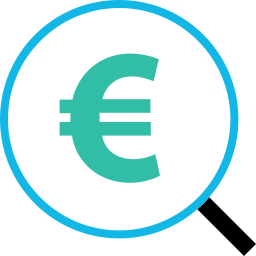 euro icon