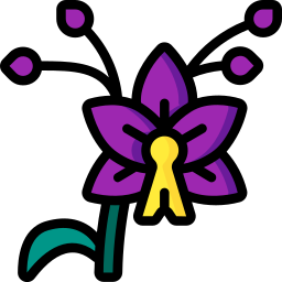 Orchid icon