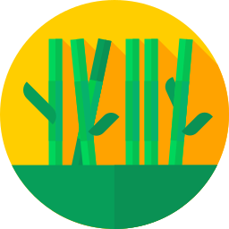 Bamboo icon