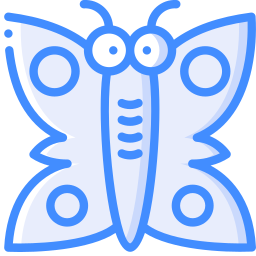 schmetterling icon