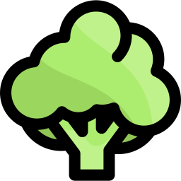 Broccoli icon