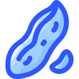 Peanut icon