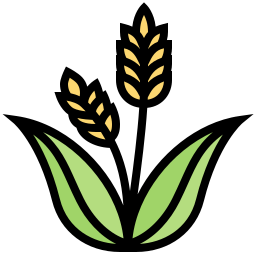 Wheat icon