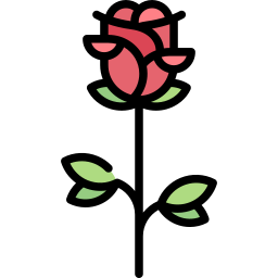 rose icon