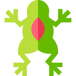 Frog icon