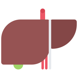 Liver icon