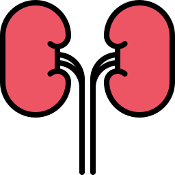 Kidneys icon