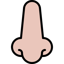 Nose icon