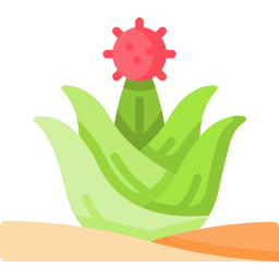 Cactus icon