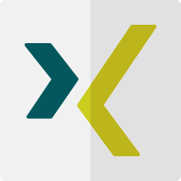 Xing icon