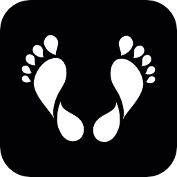 Footprints icon