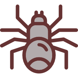 spinne icon