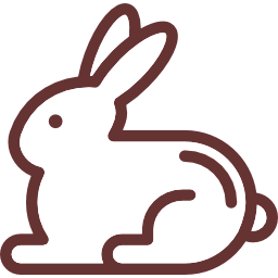 lapin Icône