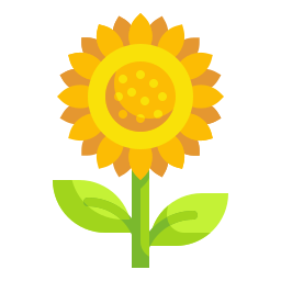 sonnenblume icon