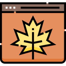 webseite icon