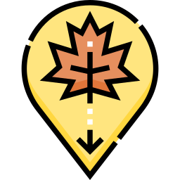 Pin icon