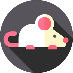 Rat icon