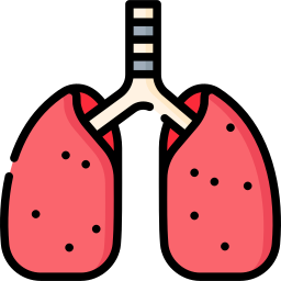 Lungs icon