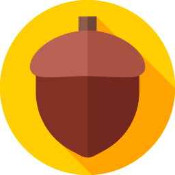 Acorn icon