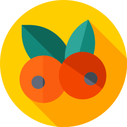 beeren icon